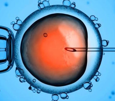 Cost of IVF+ICSI with Egg Donation infertility03