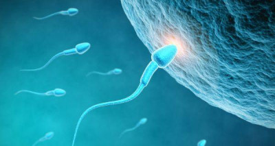 Healthy sperm: Improving your fertility